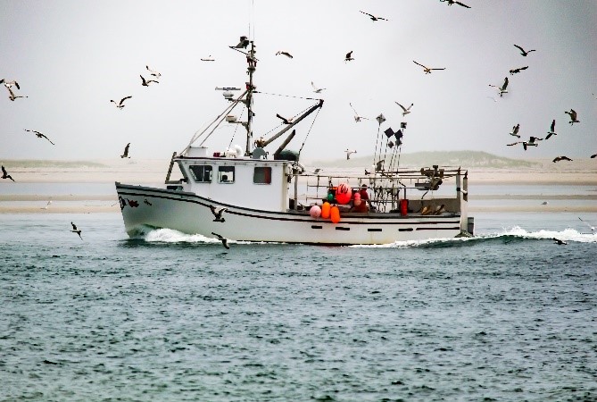 Fishing boat