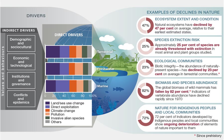 Direct and indirect drivers of declines in nature (source: IPBES Global assessment report of the Intergovernmental Science-Policy Platform on Biodiversity and Ecosystem Services, 2019). 