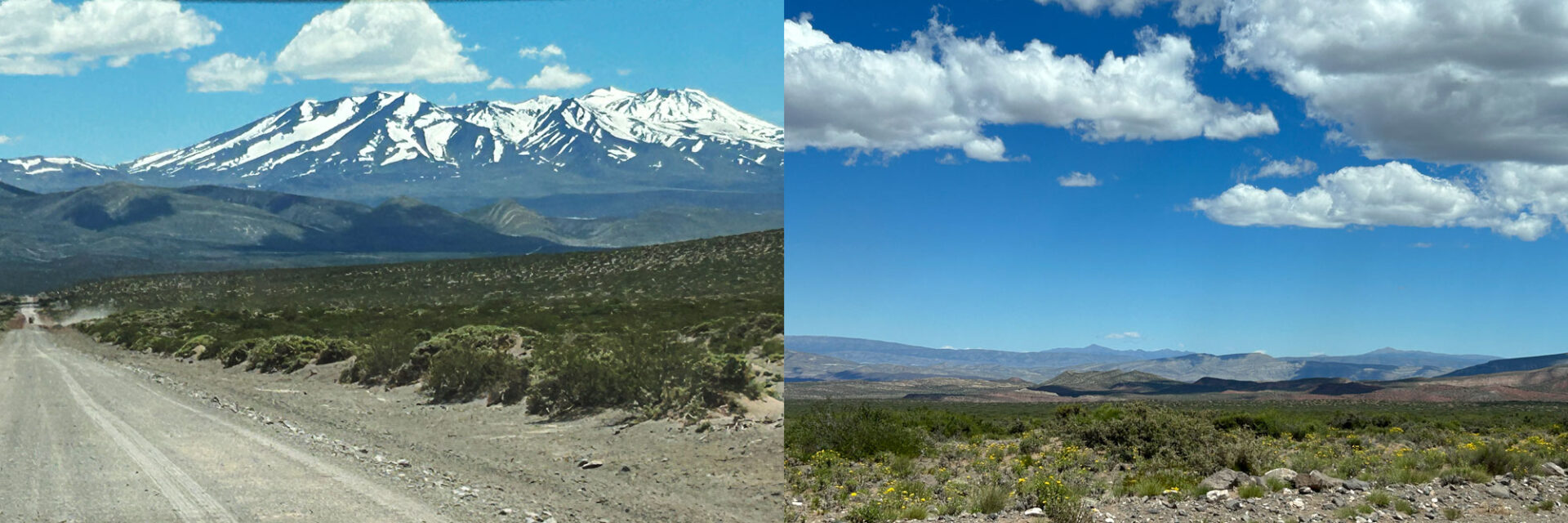 Pampa landscape and Tromen volcano