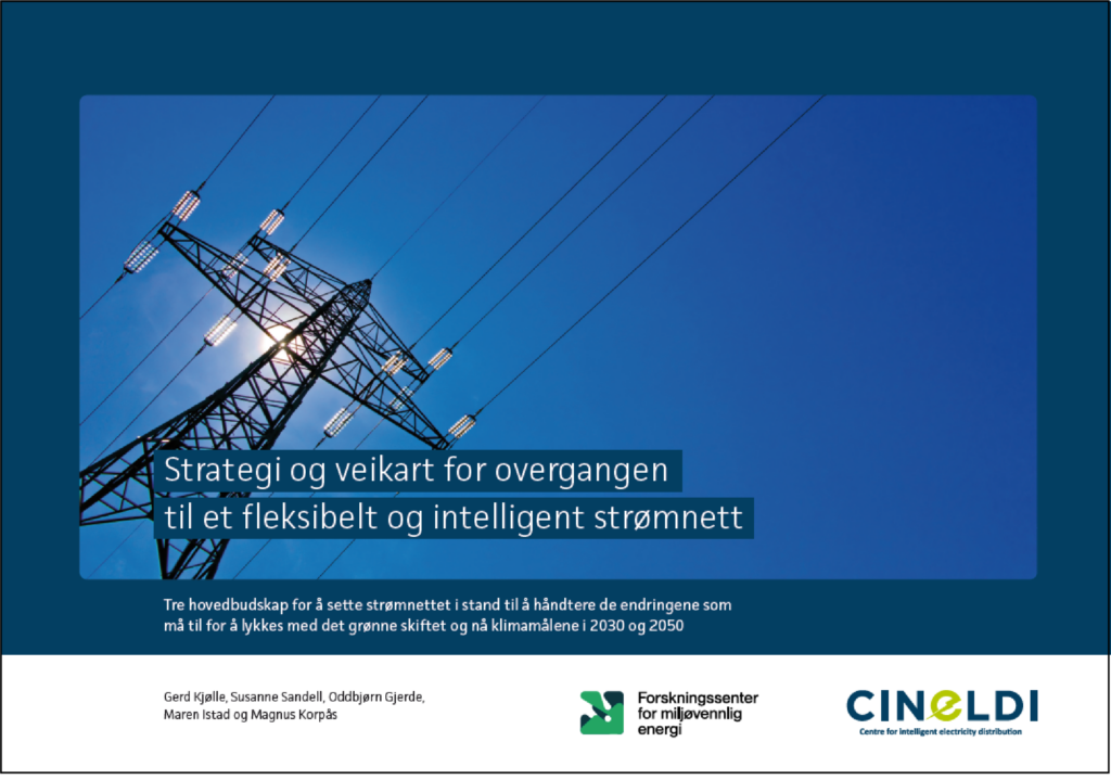 Strategi og veikart for overgangen til et fleksibelt og intelligent strømnett, skjermbilde